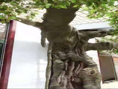 點擊查看詳情